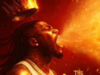 Stonebwoy - The Torcher Album